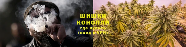 крисы Баксан