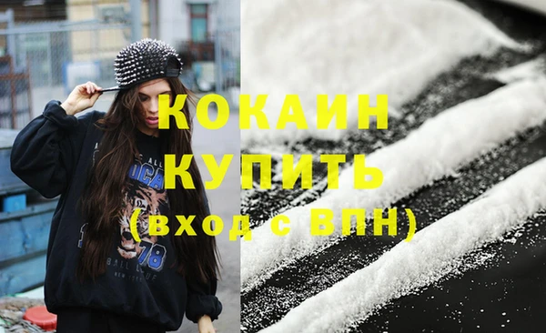 крисы Баксан