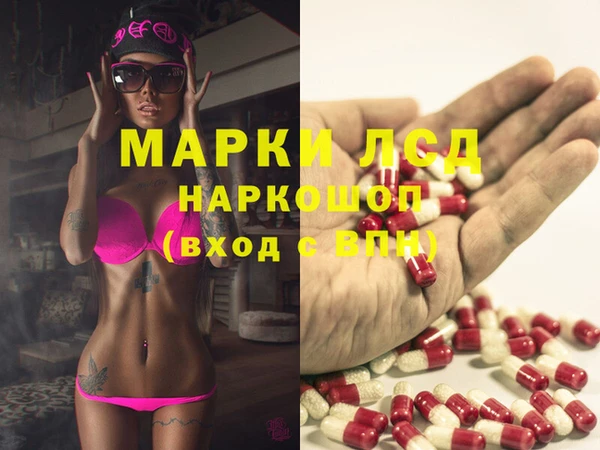 крисы Баксан
