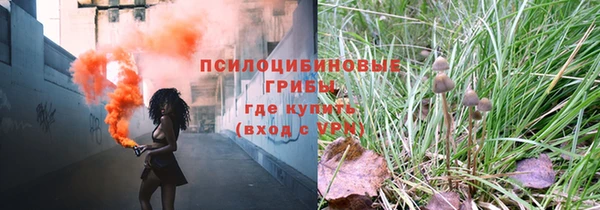 крисы Баксан