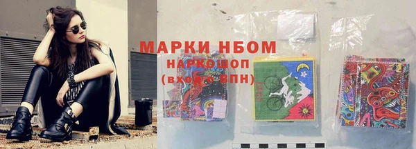 крисы Баксан